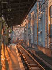 도리벤 네임리스 드림