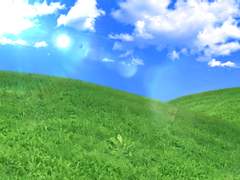 리본 형식 잡초 들판 브러쉬 (클립스튜디오)