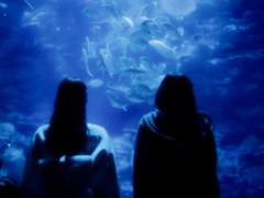 천재선수 박규정, 그리고 양궁선수 안정민.