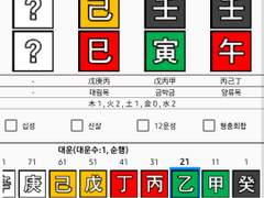 라이즈 원빈 사주 풀이