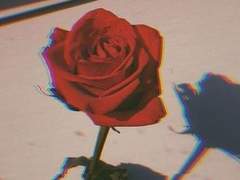 오른쪽에서 세번째