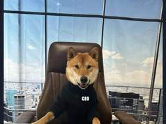 유머가 없는 CEO