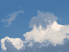 [도위소병] 1557~1561