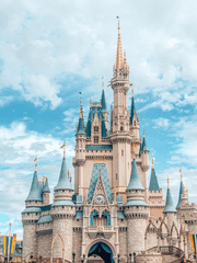 크리샌의 아름다운 꽃