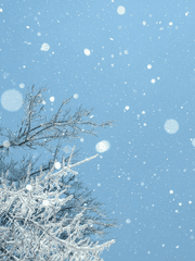 닻별 4장: 겨울- 눈 녹으면 그리울 계절