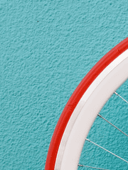 슬램덩크 태웅백호 