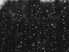 당신이 불행했으면 좋겠어