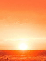 황혼이 된 후에야