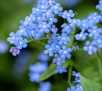 [겸원] 나의 별이 되어 줘!(9)