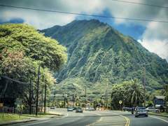 미갈루의 노래 02 🦎