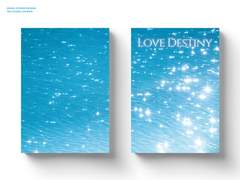 [표지/내지 커미션 작업] love destiny