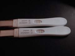 6. 청상과부 (靑孀寡婦)