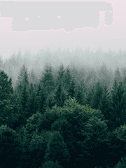 화락연불소월명애무면