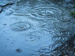 [제노사이]Phobia[2부]-1