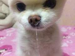 인터넷 중독은 국번없이 1388