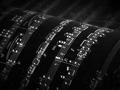 흑백 세상의 피아니스트