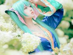 【Cosplay】 하츠네 미쿠 - 프로젝트 디바 나비 모듈(오이란)