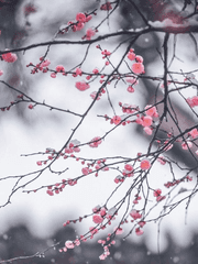 생에 채우지 못한 봄