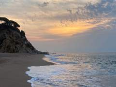 우리 그리고 바다