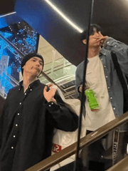 다이 스키 (skiing)