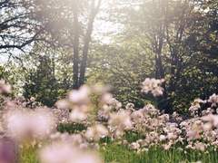 私にいて奇跡はお前なの。