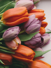 [멈머즈] 단편 모음