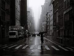 스트릭트디서플런