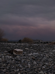 우리는 모두 살아있었다