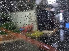 칼윈/지민정 외출