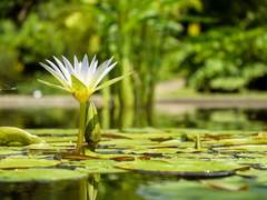 명박사님을 아세요?