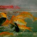 닥터페퍼냐아아앍