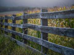 FENCE