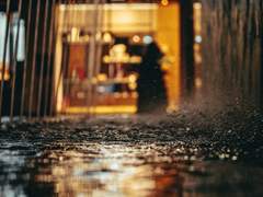 [원철시목] 완전한 타인 1