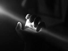 이 모든 것이 삶이다.