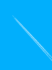 한 여름밤의 꿈