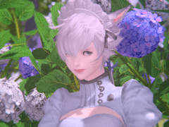 🌸하게되었어요, 언약🌸