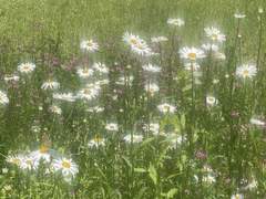 こっちをみてよ !