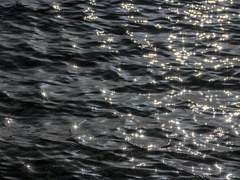 보여주기 위해서