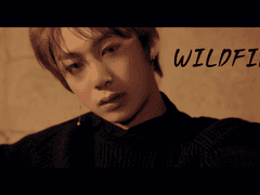 [유튜브] 두번째 곡은 WILDFIRE에요!