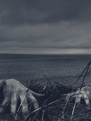 푸른 수염의, 푸른 아내