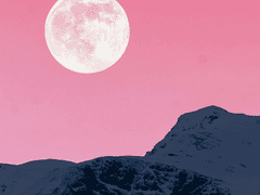 [2023 정기 연재] 매주 수요일 오전 10시