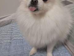 [ 1차 / 멀티 ] 의인화3