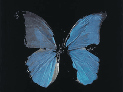 아드리안 미드나이트가 죽었을 때