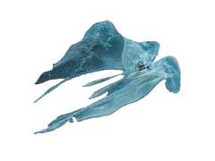 이 여인은 누구인가