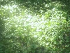 하늘 아래 세 개의 태양은 없다