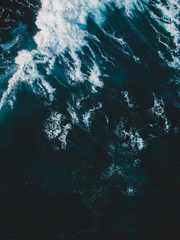 연예인 사주풀이