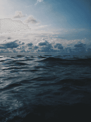 바다를 친애한 로봇