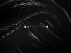 [토도로키]뱀의 뼈