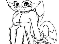 (소닉) 장발 블레이즈 낙서 + 롤스왑 실버 낙서