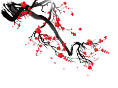 궁기 | 비수•誹獸